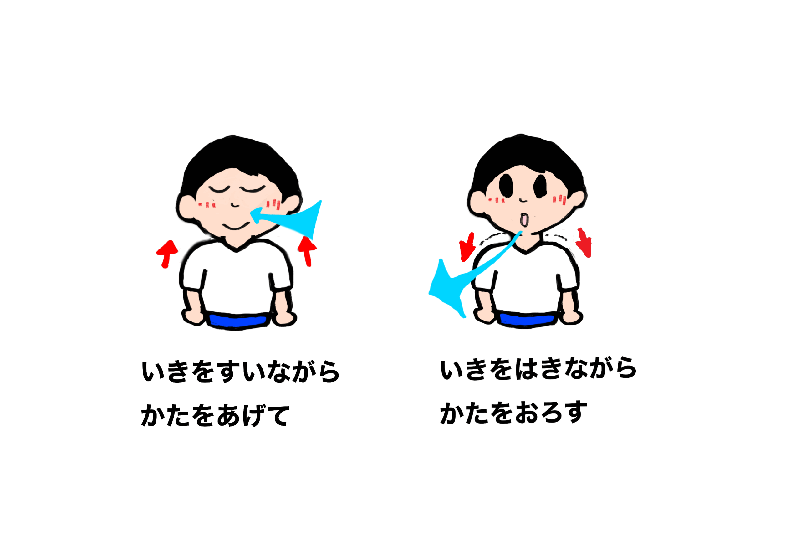 呼吸につかう筋肉のストレッチ①