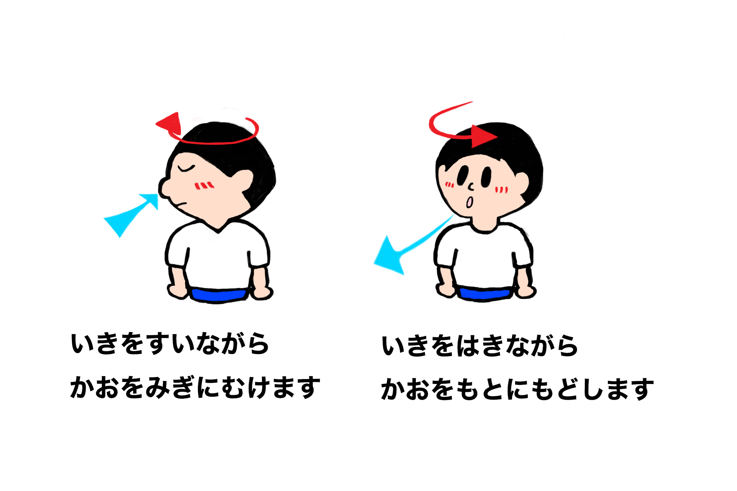 呼吸につかう筋肉のストレッチ②