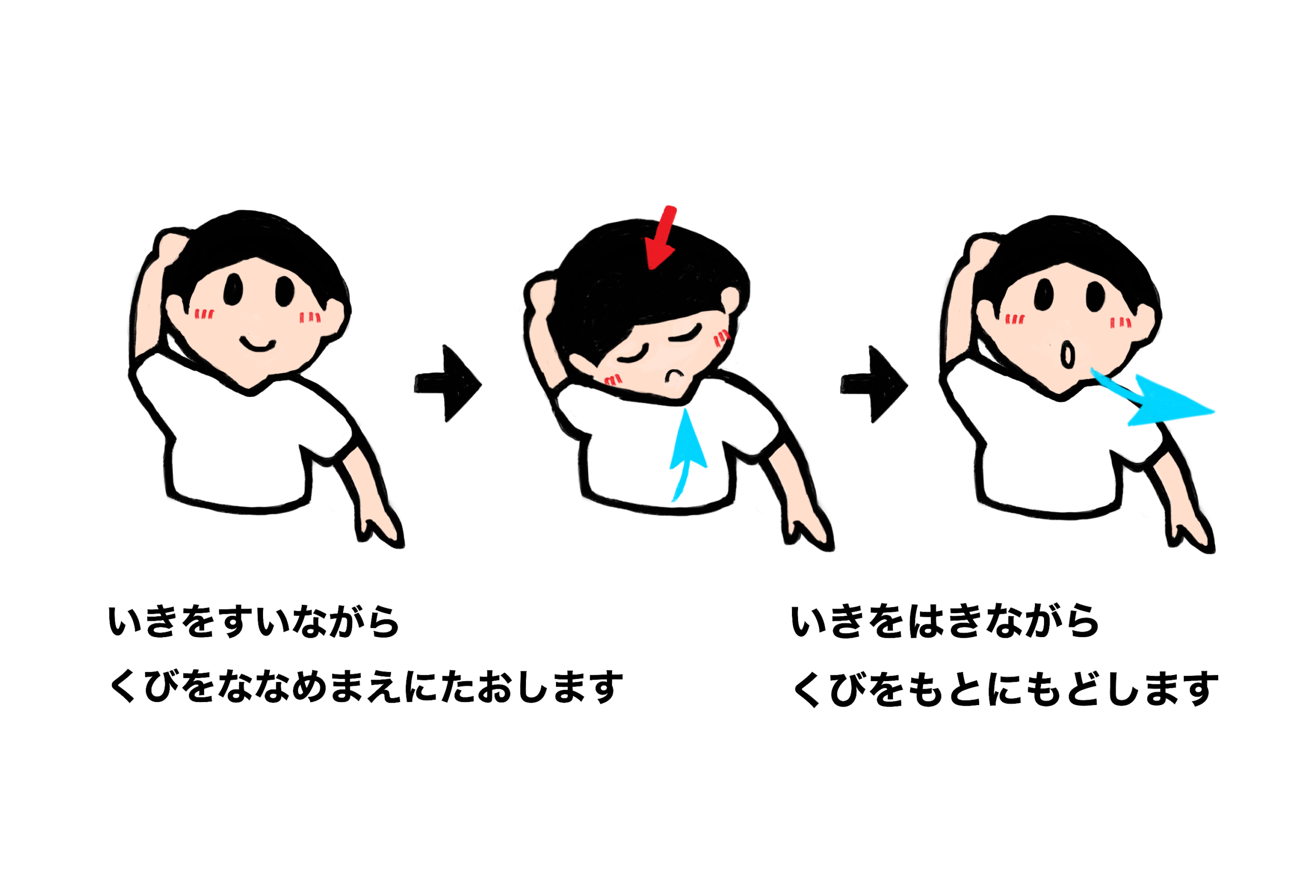 呼吸につかう筋肉のストレッチ③