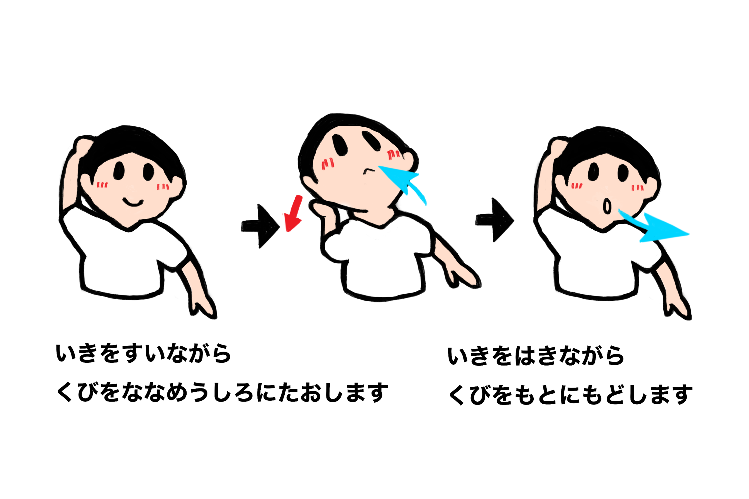 呼吸につかう筋肉のストレッチ➃